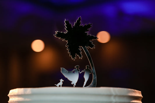 Wedding Photographer